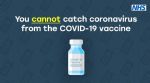 Salford vaccination programme